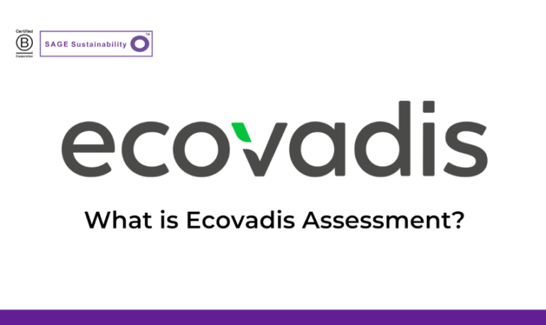 What Is An EcoVadis Assessment? - SAGE Sustainability