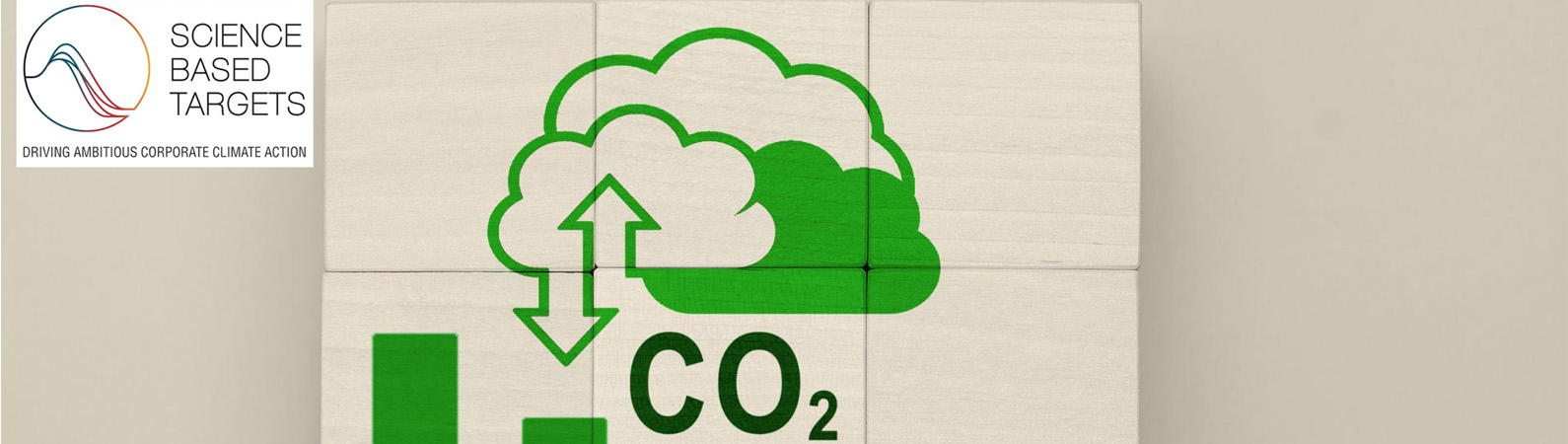 SBTi consulting and advisory services India