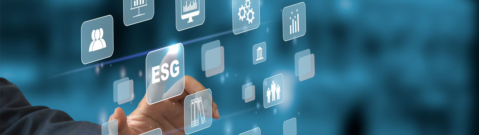 Sustainability research and insights services India