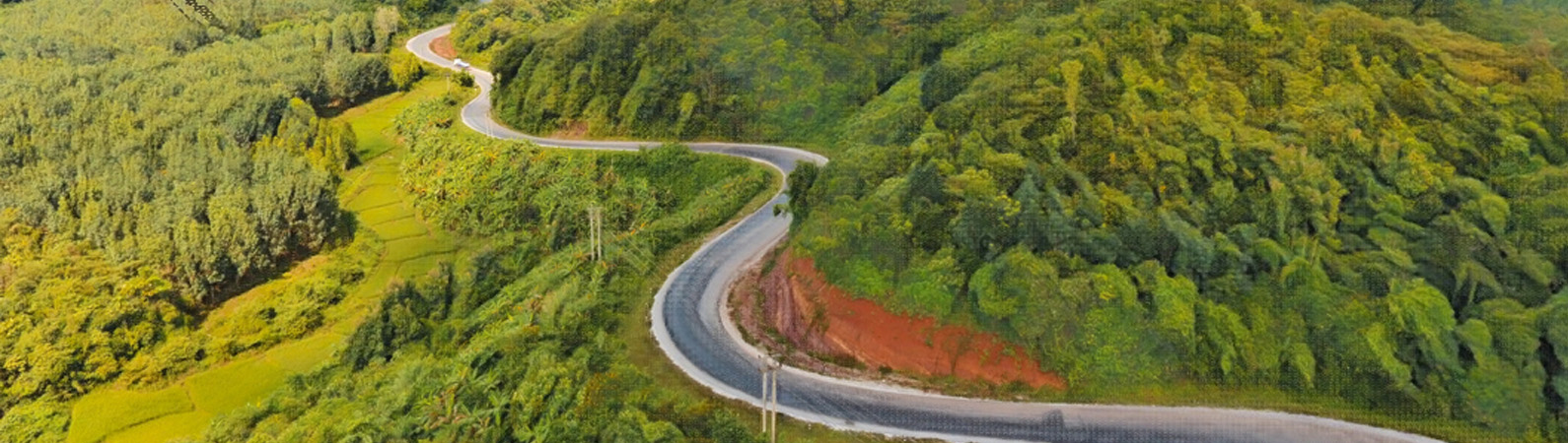 Sustainability strategy consulting India