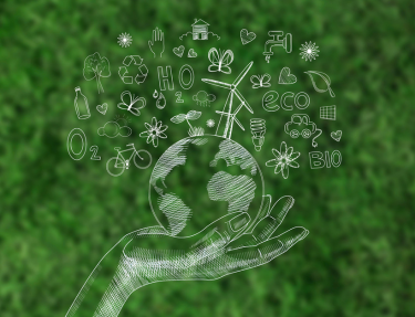 The Green auditing tool