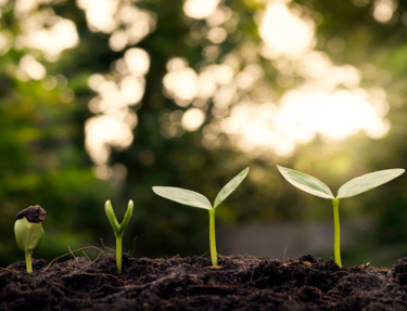 Projects that shaped us